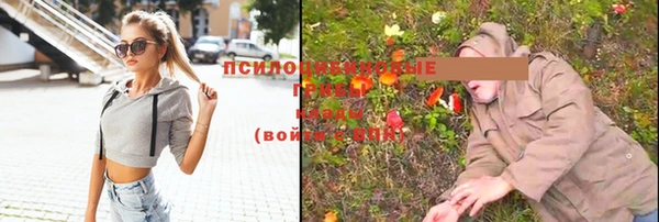 каннабис Белокуриха