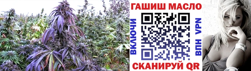 ТГК Wax  блэк спрут зеркало  Мглин 