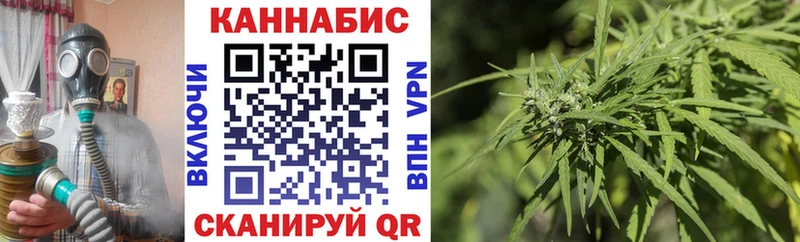 Бошки Шишки конопля  площадка формула  Мглин 